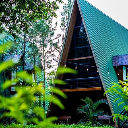Hotel De Cristal & Hacienda De Los Morales サンミゲル エクステリア 写真